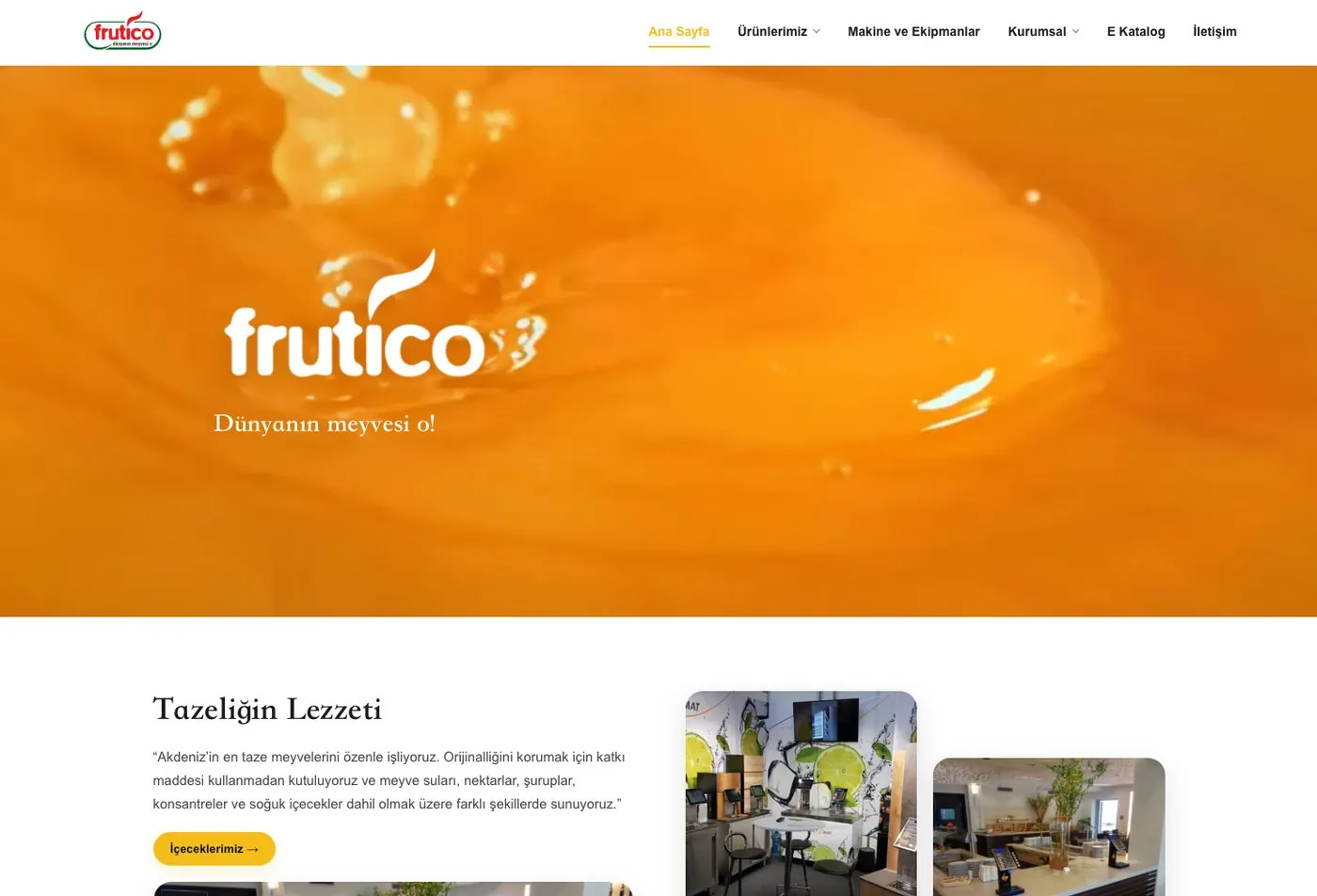Frutico web sitesi tasarımı ve dijital arayüz çalışması