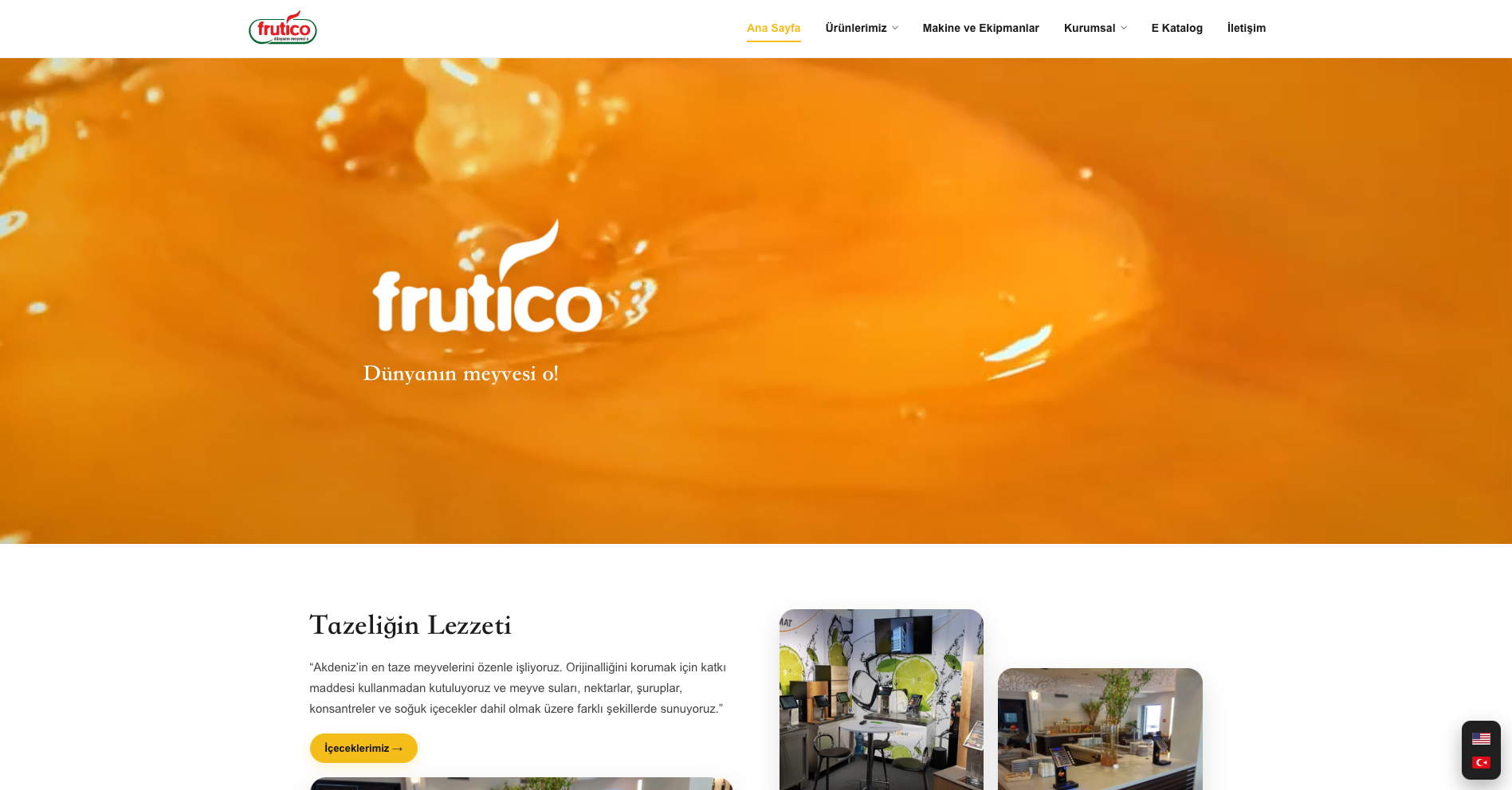 Frutico web tasarım projesi