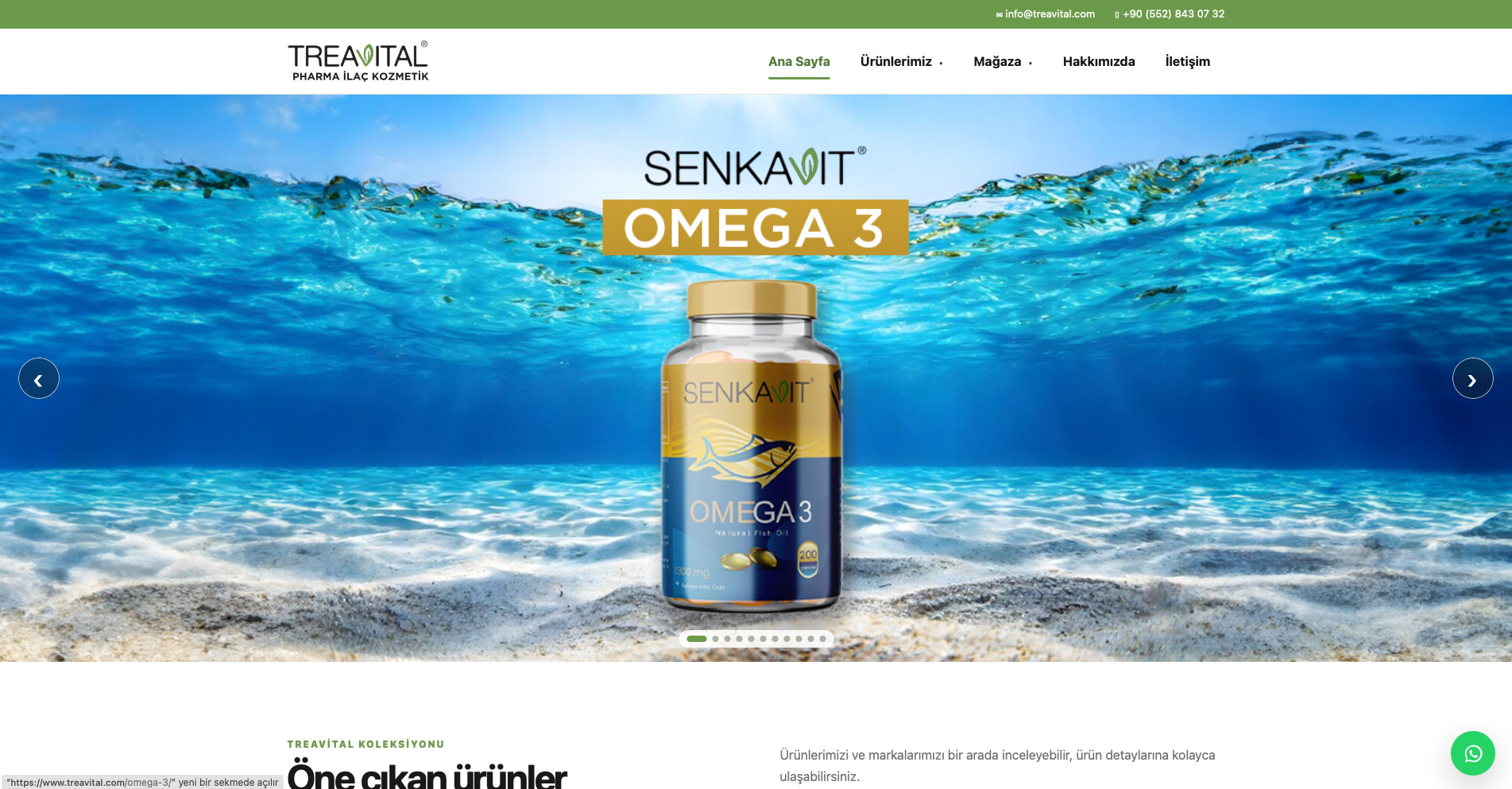 Treavital web tasarım projesi